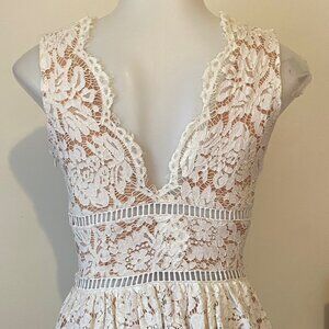 Tobi Nude Lace Front Plunge Cocktail Dress